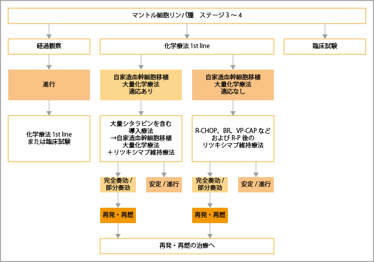 ステージ3～4のマントル細胞リンパ腫の治療選択