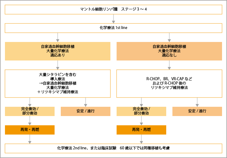 マントル細胞リンパ腫の再発・難治性のステージ3～4治療選択