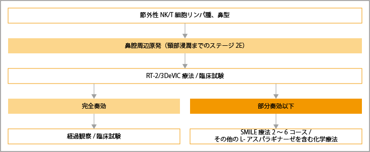 鼻腔周辺原発の節外性NK/T細胞リンパ腫の治療選択