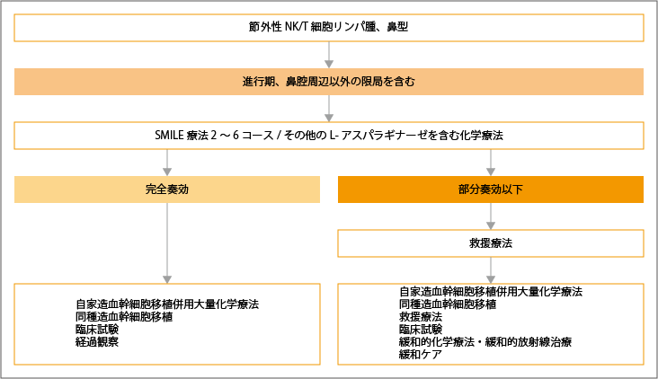 進行期節外性NK/T細胞リンパ腫の治療選択